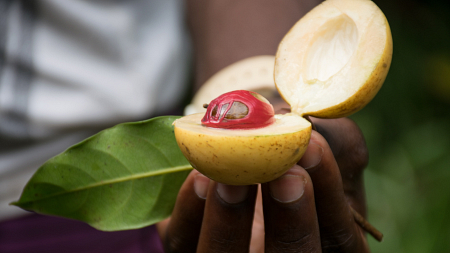 Zanzibar itaka