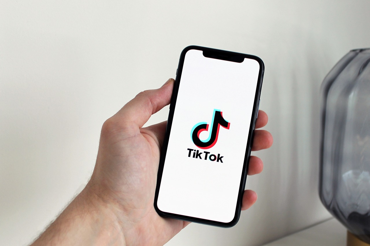 TikTok downloader